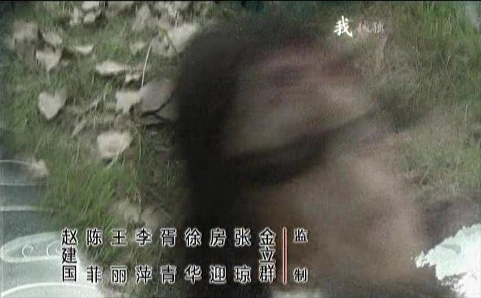 牌坊下的女人 第11集视频封面图