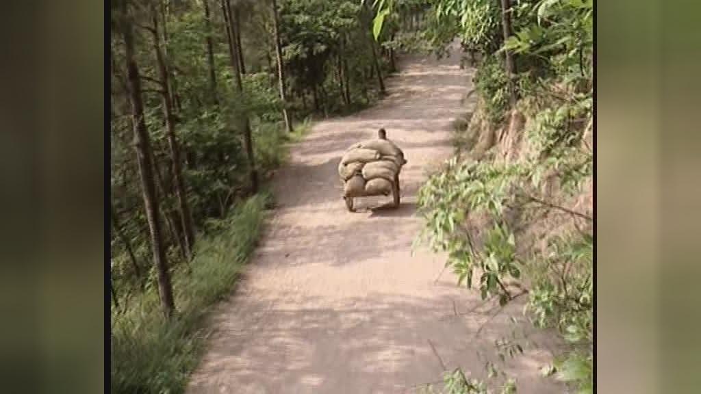 功夫状元 第16集视频封面图