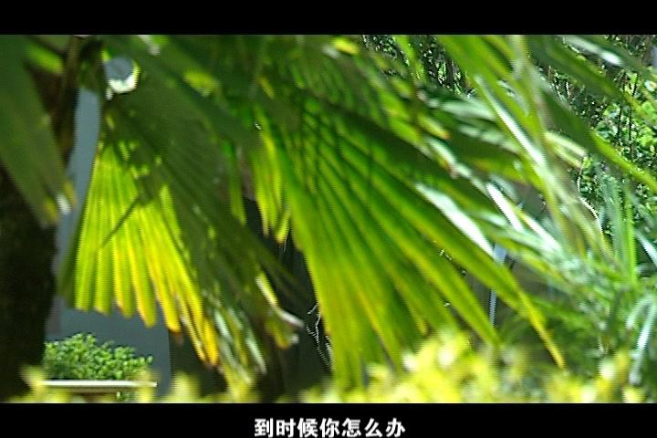 缉毒英雄 第11集视频封面图