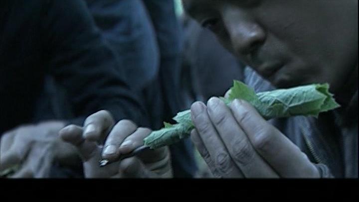 天大地大 第17集视频封面图