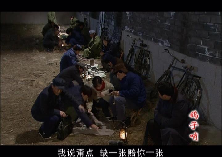 鸽子哨 第13集视频封面图