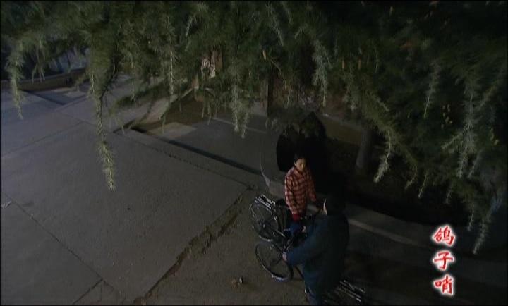 鸽子哨 第10集视频封面图