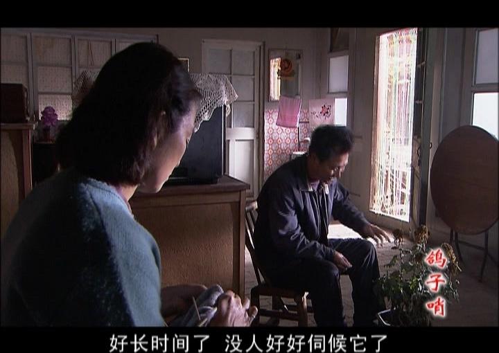 鸽子哨 第27集视频封面图