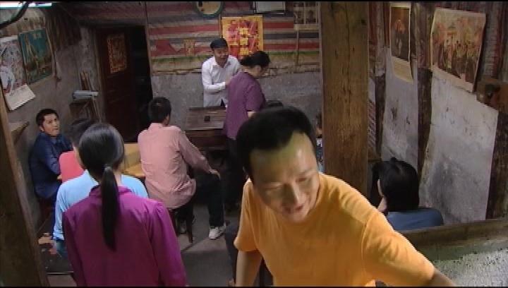 莲花闹海棠 第10集视频封面图