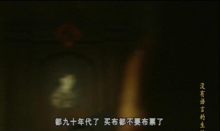 没有语言的生活 第2集视频封面图