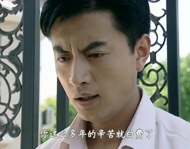 悠悠寸草心 30集
