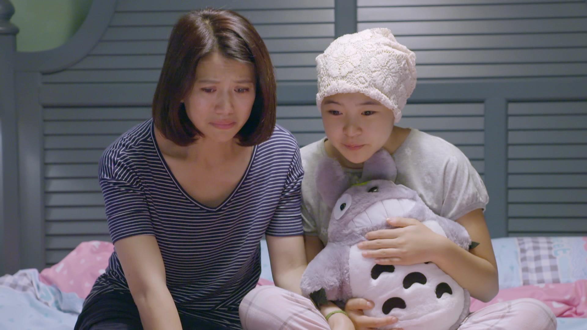 领养 第26集视频封面图