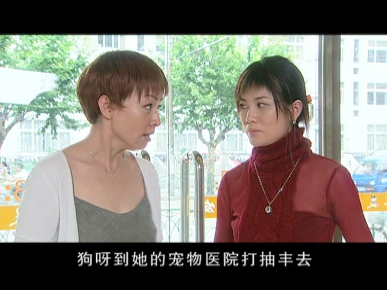 老爸老妈之逼子成龙 第1集视频封面图
