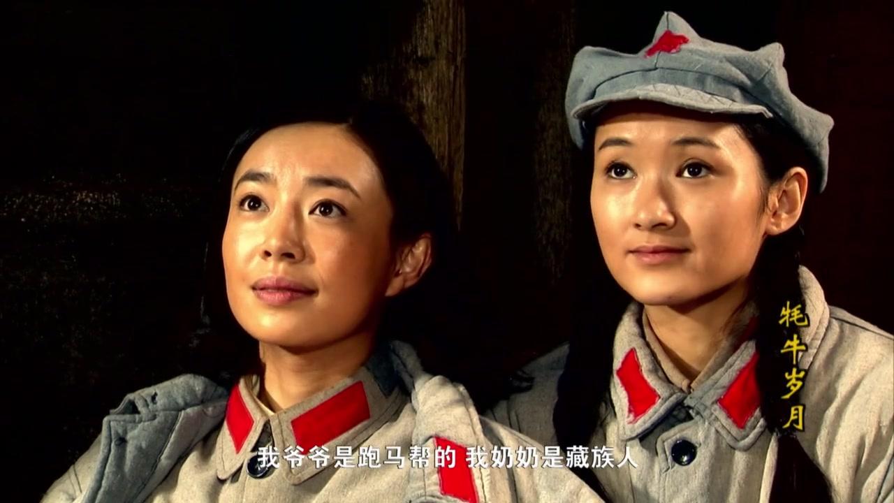 牦牛岁月 第12集视频封面图
