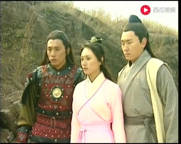 有情鸳鸯无情剑 第31集视频封面图