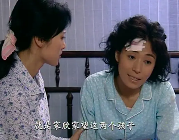 悠悠寸草心 2集