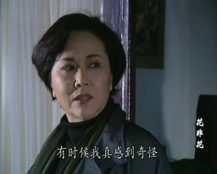 花非花 第12集视频封面图