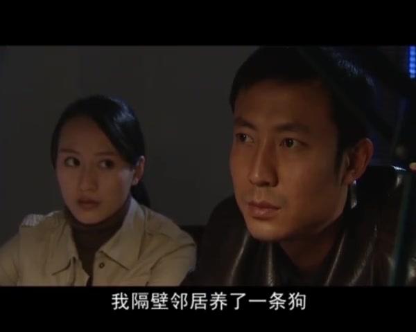 谜证 第21集视频封面图