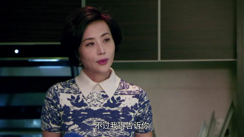 人民检察官 24集
