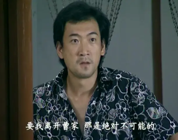 悠悠寸草心 20集