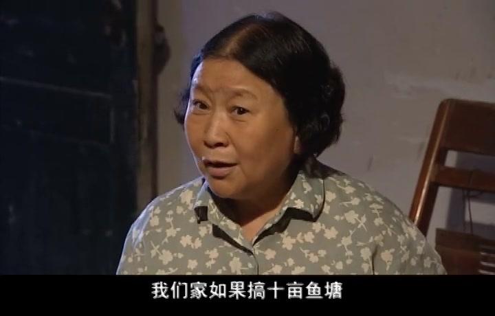 莲花闹海棠 第8集视频封面图