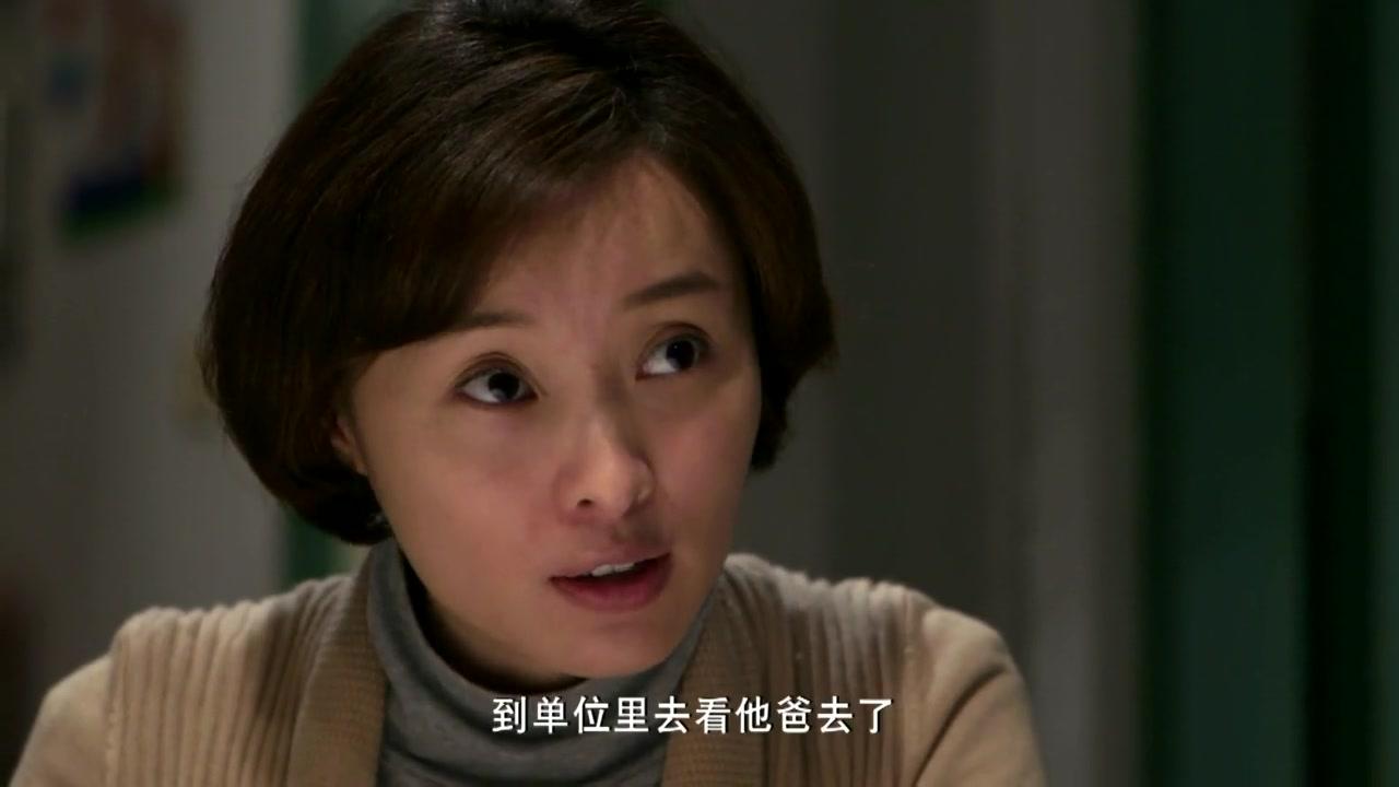 信访局长 第17集视频封面图