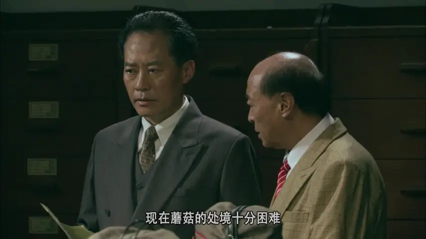 五星红旗迎风飘扬第一部 36集