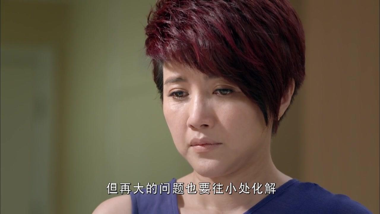 伙伴夫妻 第17集视频封面图