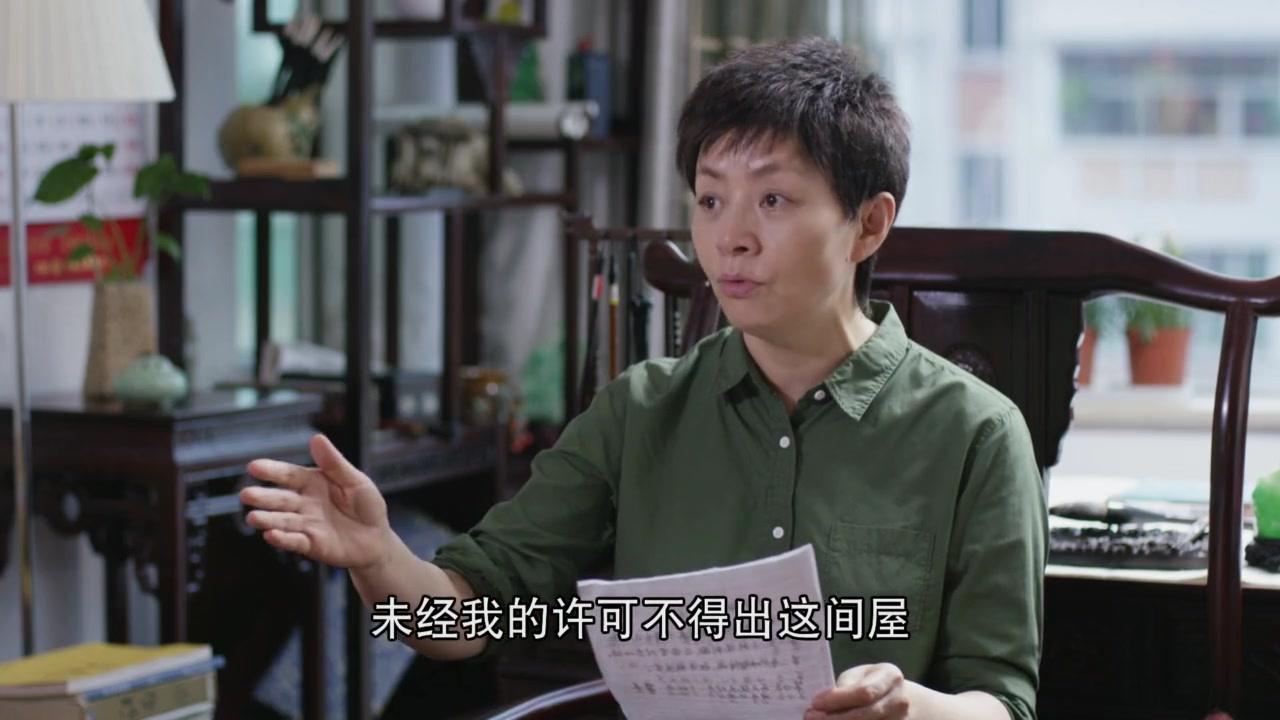 我的岳父会武术 第18集视频封面图