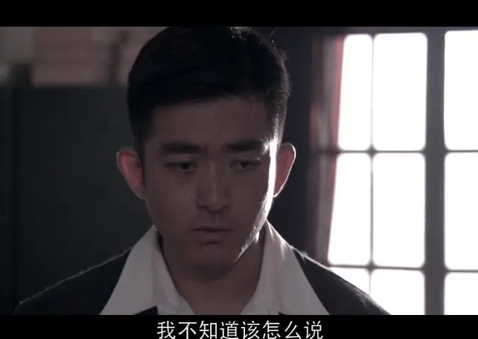 中国远征军 29集