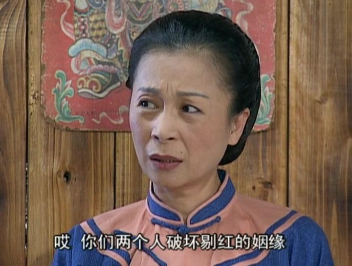 辛家媳妇 第4集视频封面图