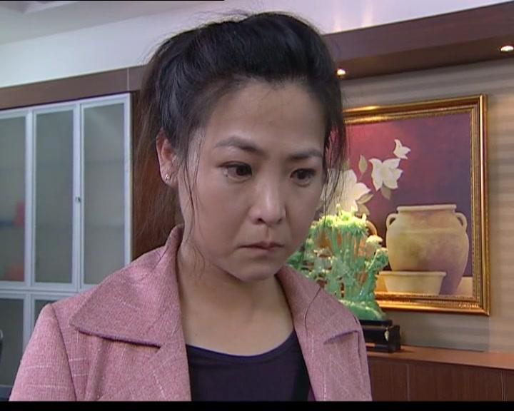 正义使命 第22集视频封面图