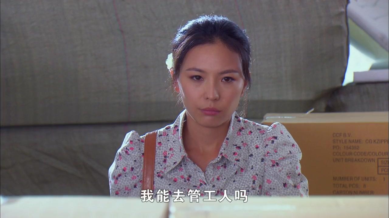 女人进城 第29集视频封面图