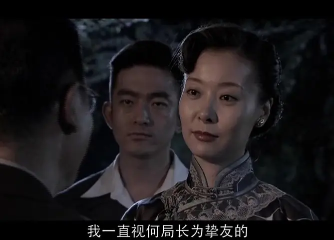 中国远征军 13集