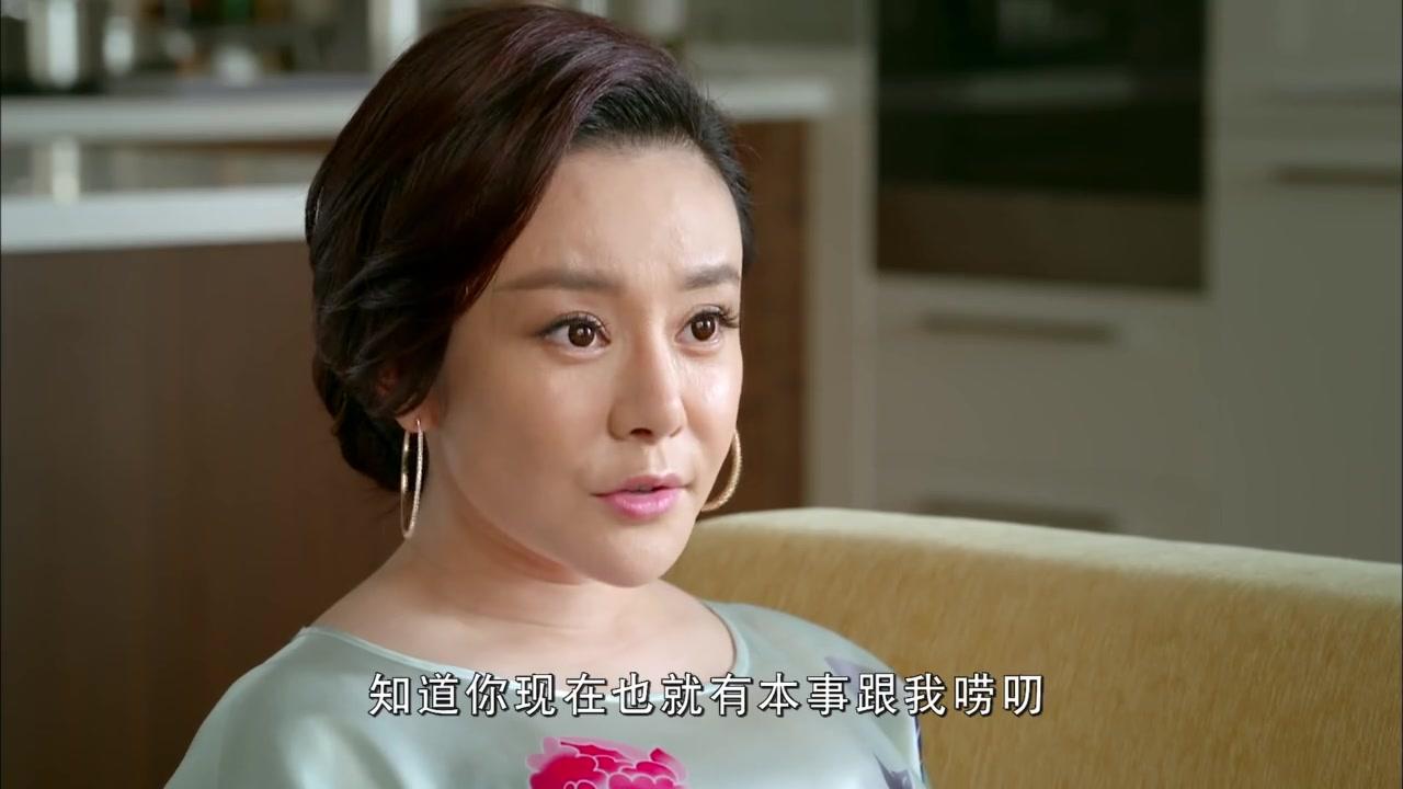 伙伴夫妻 第10集视频封面图