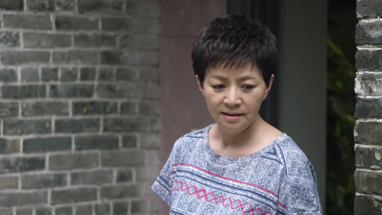 我的岳父会武术 第27集视频封面图