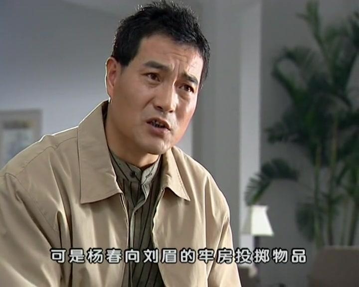 黑冰 第17集视频封面图