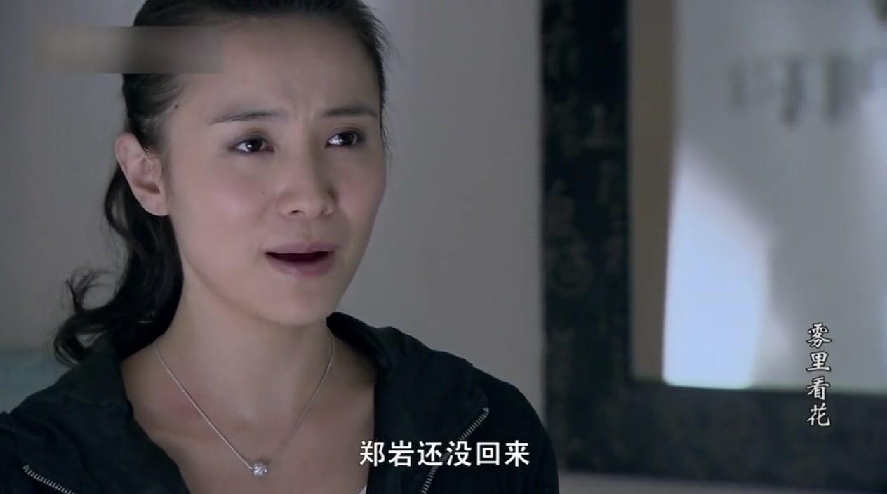 雾里看花 第28集视频封面图