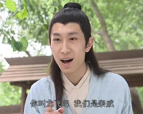 龙飞相公 9集