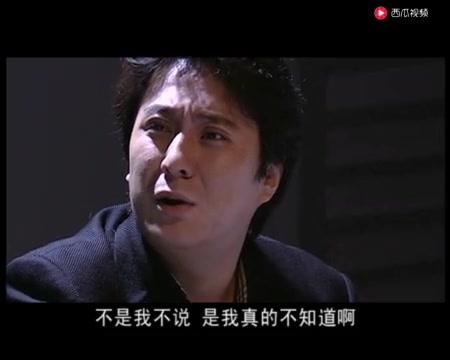 鉴证英雄 第21集视频封面图