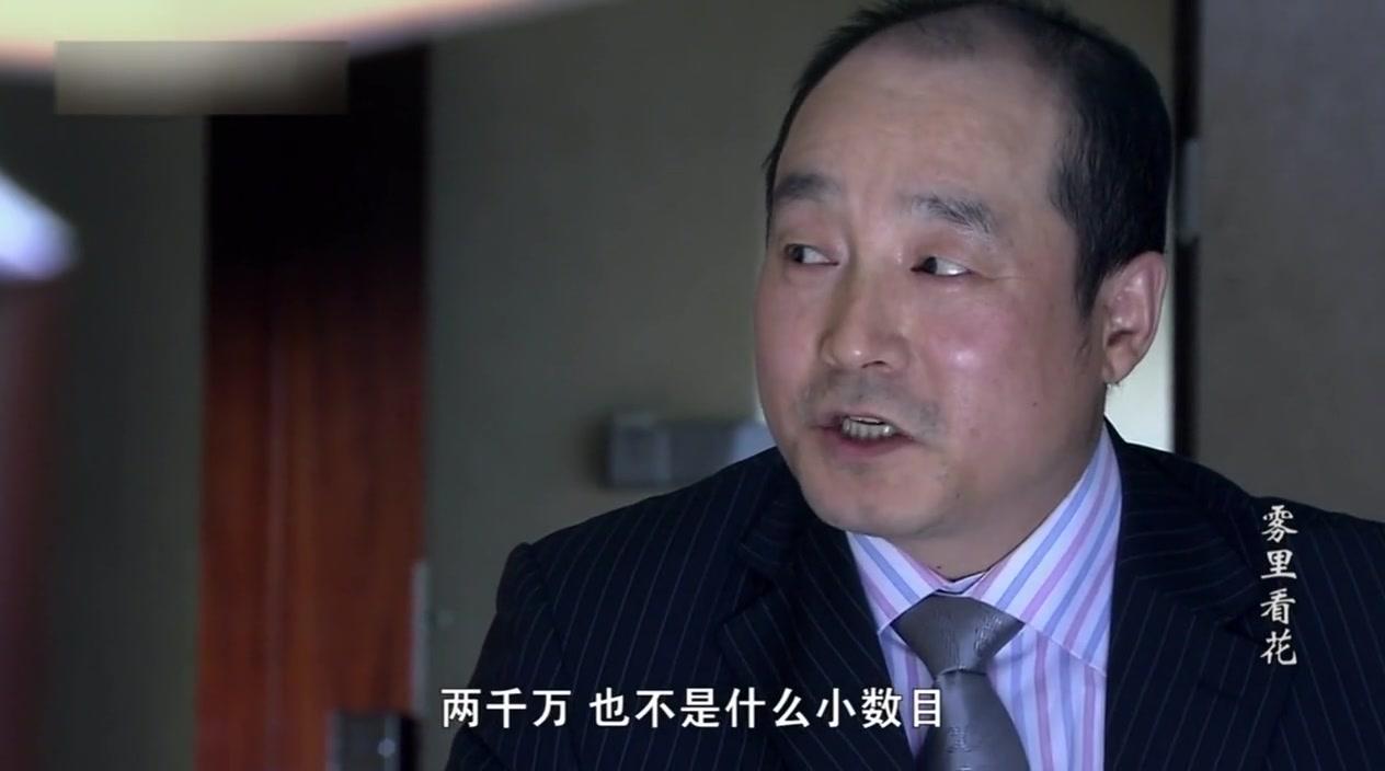 雾里看花 第11集视频封面图