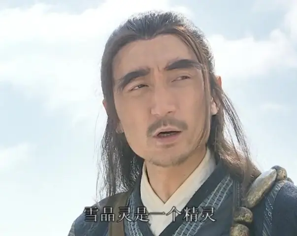 龙飞相公 30集