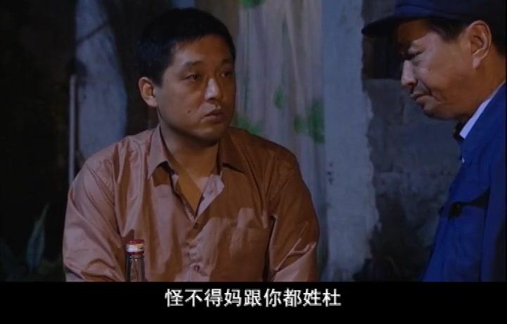 莲花闹海棠 第14集视频封面图