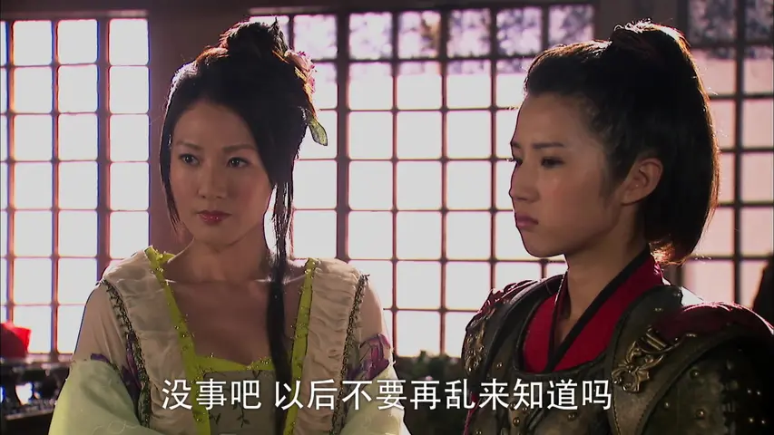 大唐女将樊梨花 11集