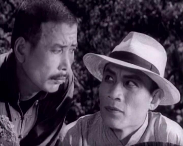 平原游击队视频封面图