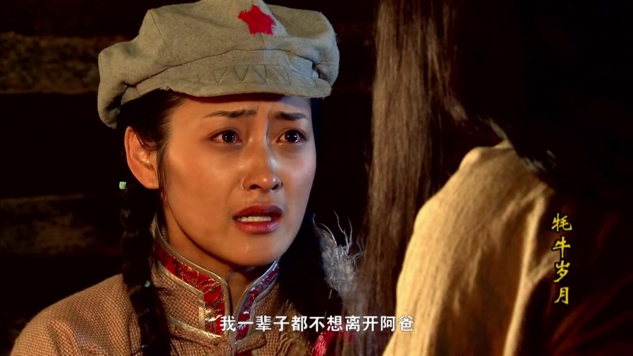 牦牛岁月 第23集视频封面图