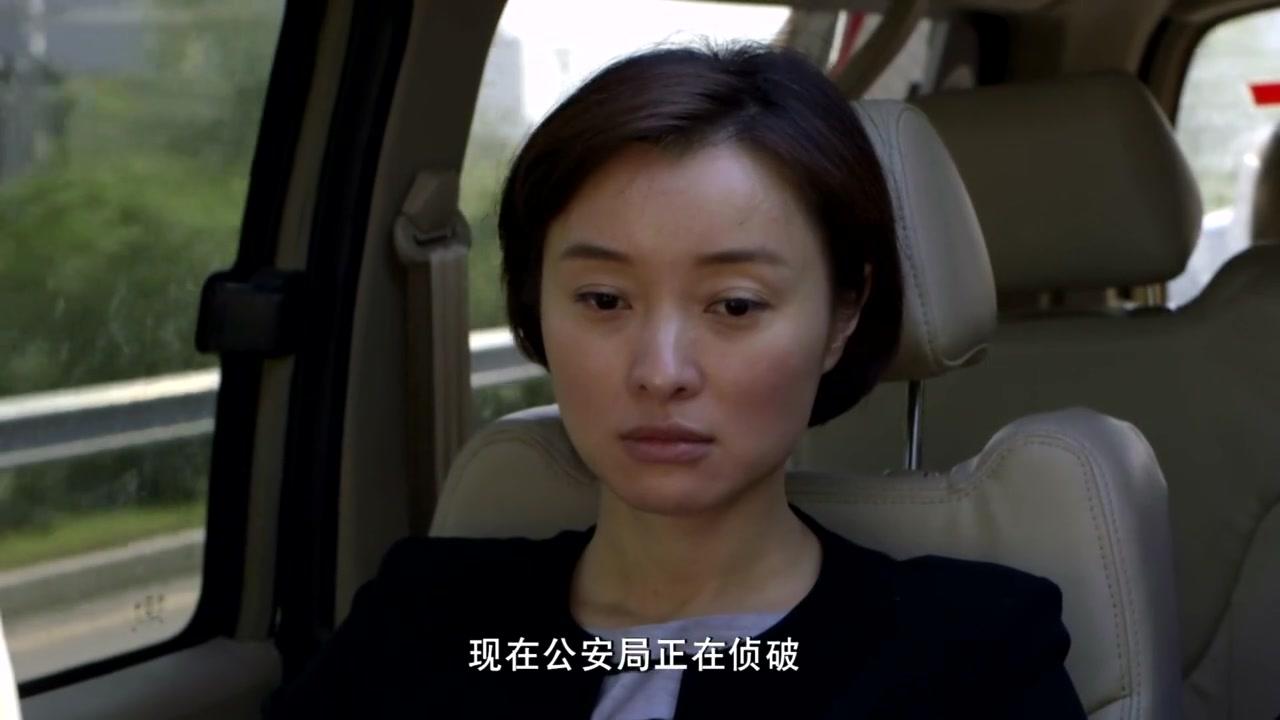 信访局长 第3集视频封面图