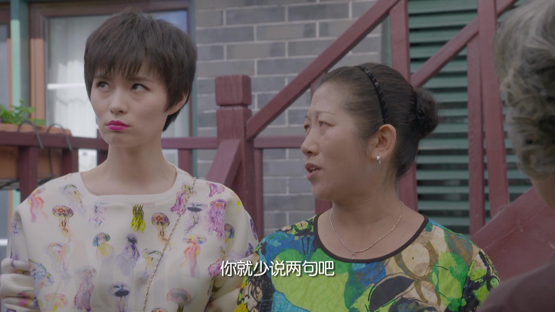 领养 第6集视频封面图