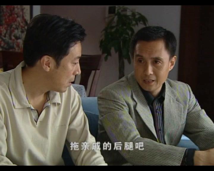 田教授家的二十八个亲戚 第22集视频封面图