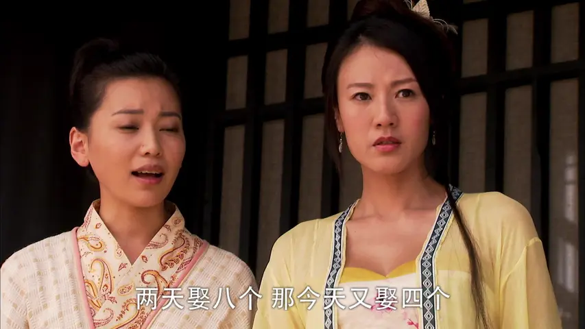 大唐女将樊梨花 20集