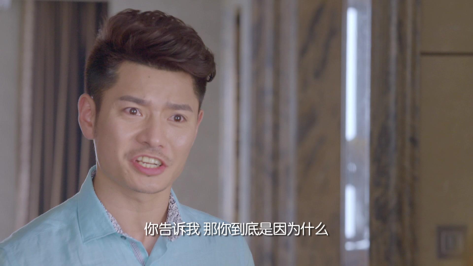 领养 第36集视频封面图