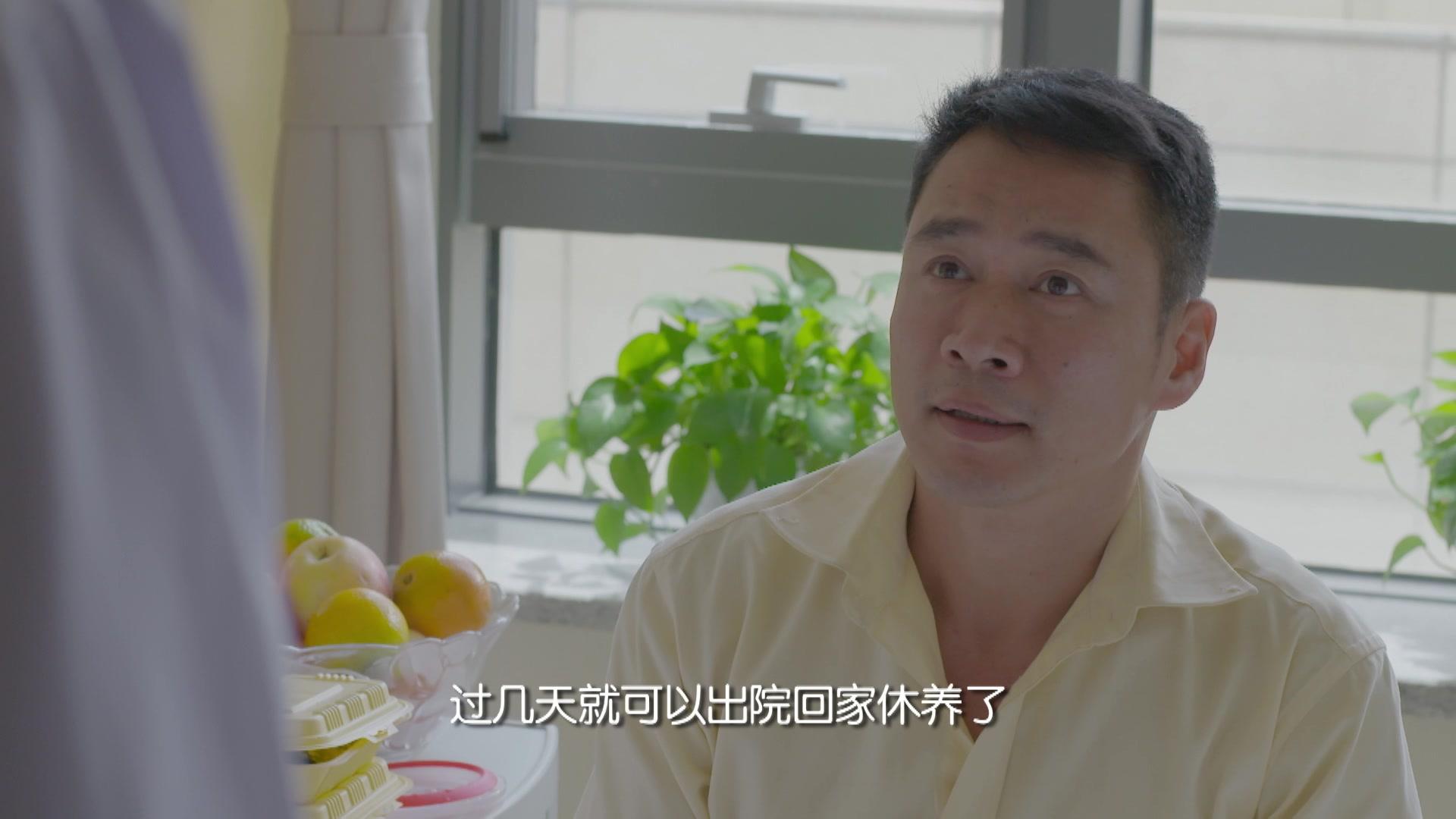 领养 第19集视频封面图