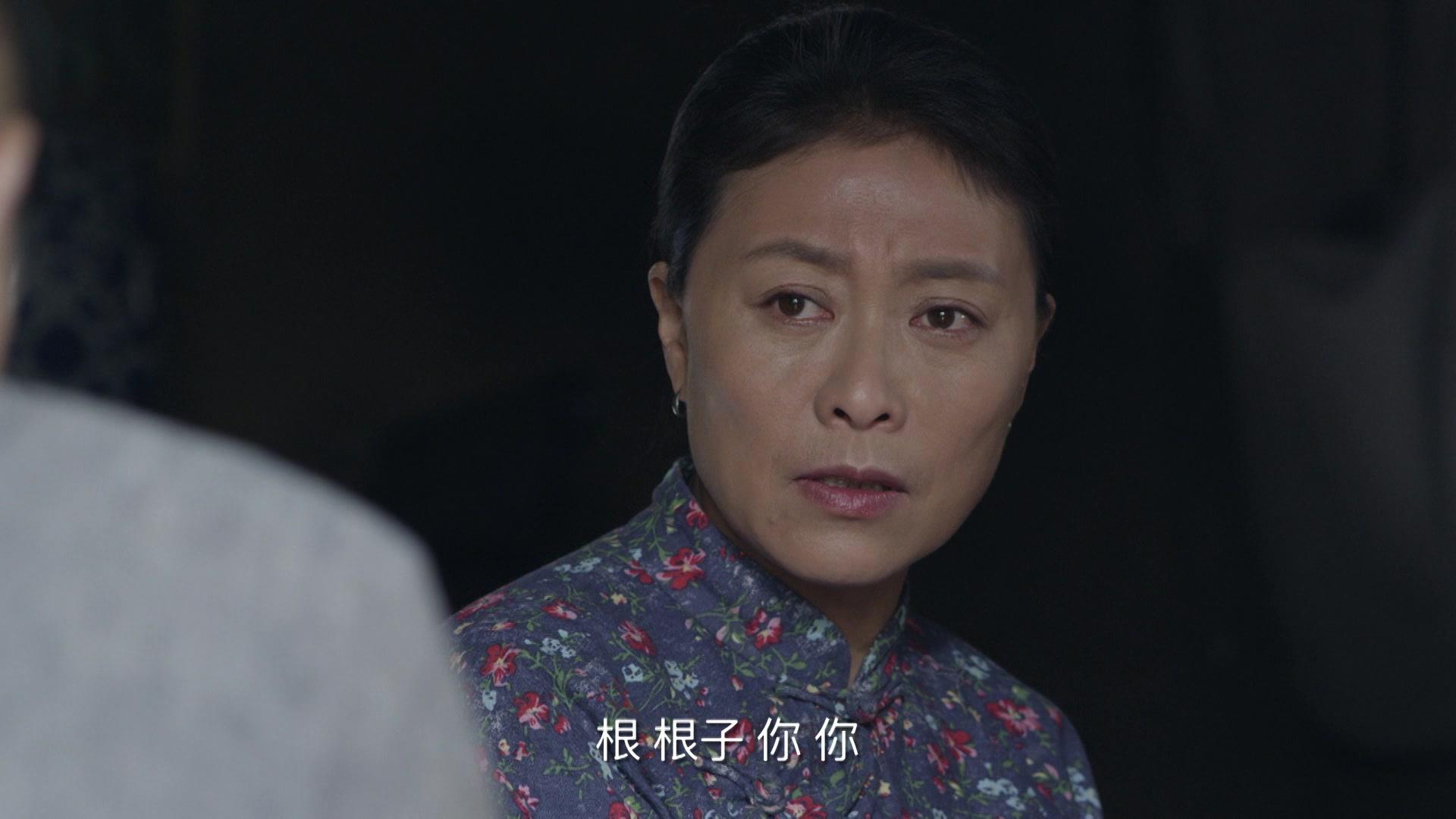在桃花盛开的地方 第4集视频封面图
