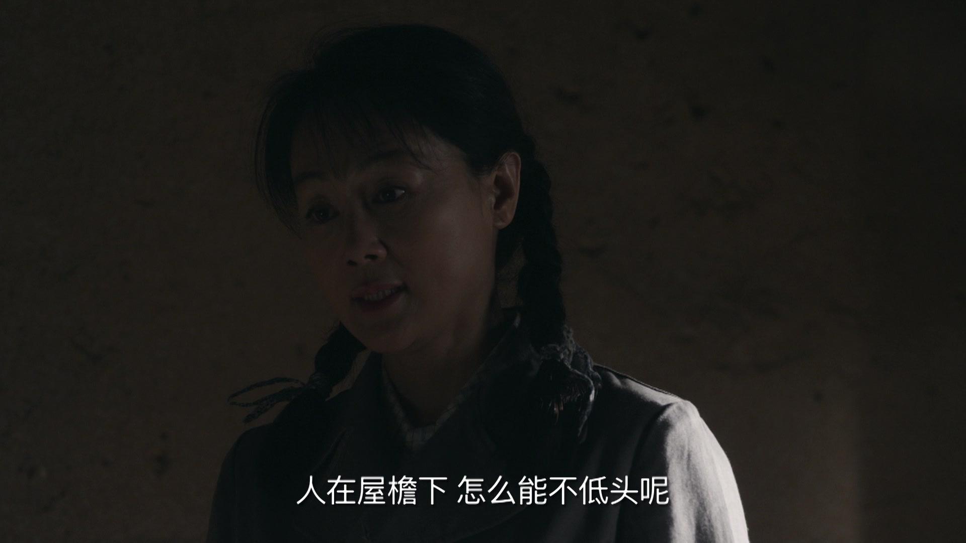 在桃花盛开的地方 第9集视频封面图