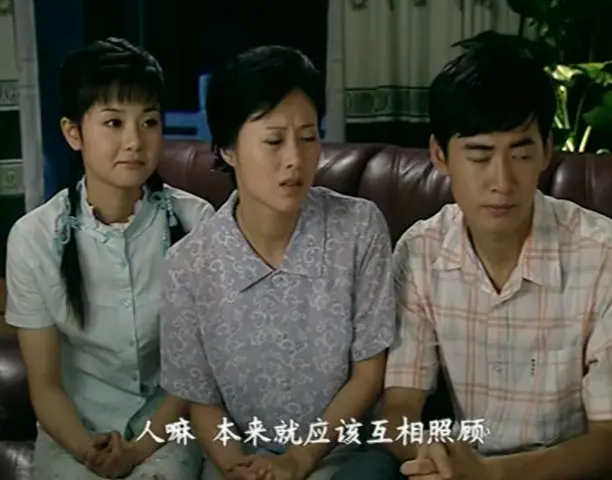 悠悠寸草心 26集